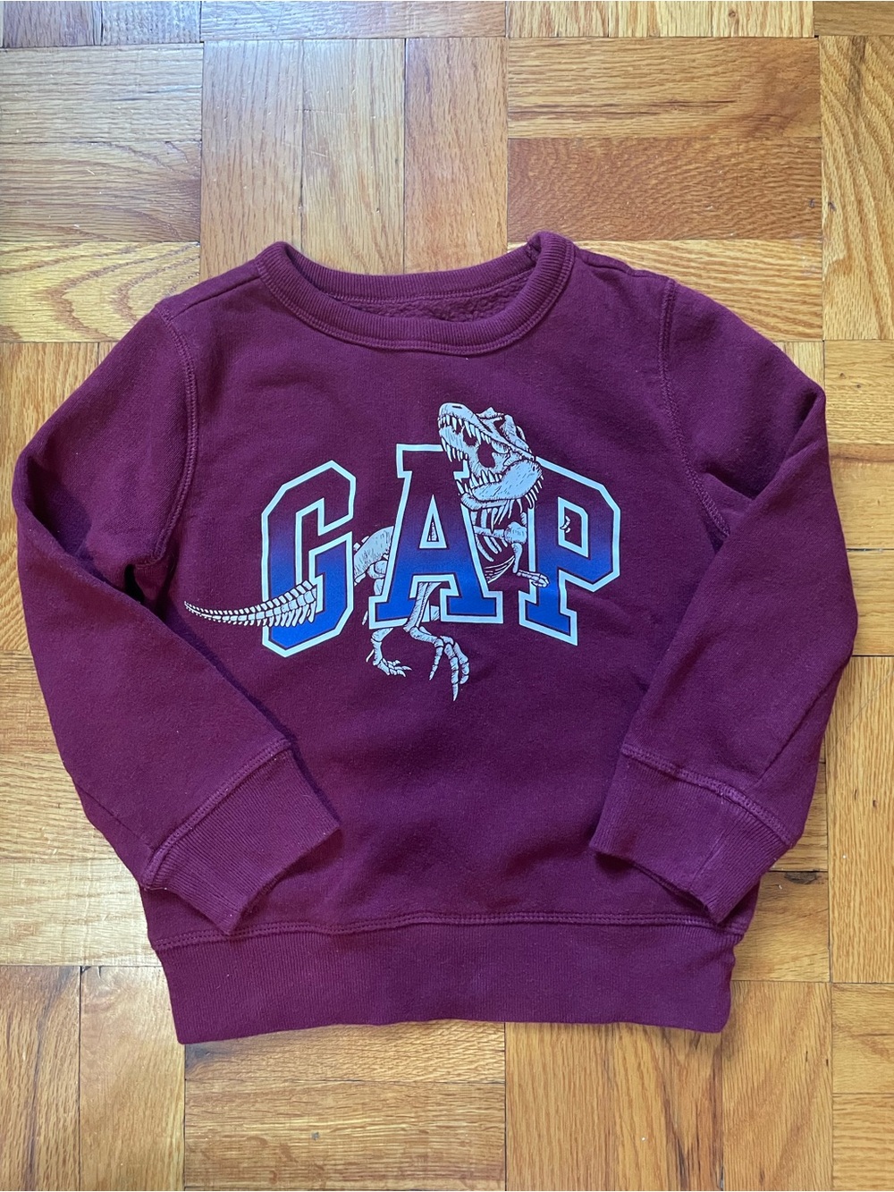 GAP Maroon Kids Sweatshirt with Dinosaur Graphic